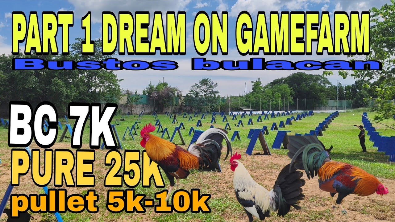Part 1 materials ang stag ng dream on Gamefarm mga quality at solid