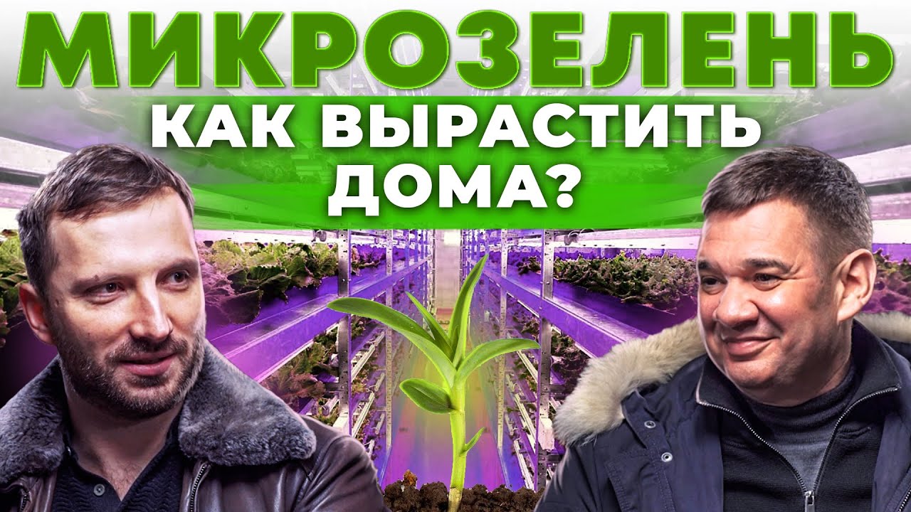 Как открыть ферму микрозелени? Кому продать урожай? Ситиферма на гидропонике | Андрей Даниленко