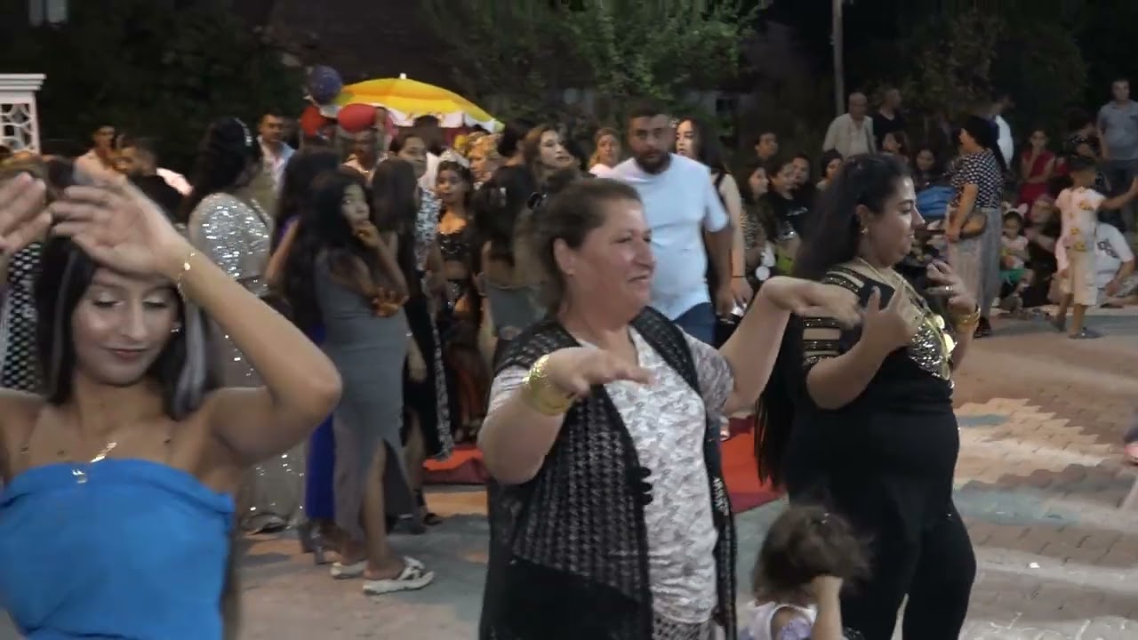 Damla ile Emre Manyas düğünü
