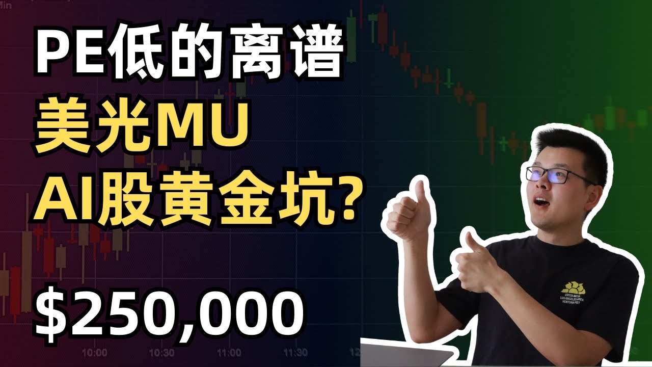 【10万美元投资挑战】PE低的离谱，AI股黄金坑？｜财经观察站 #美股分析 #科技股 #期权 #mu #Micron #nvda