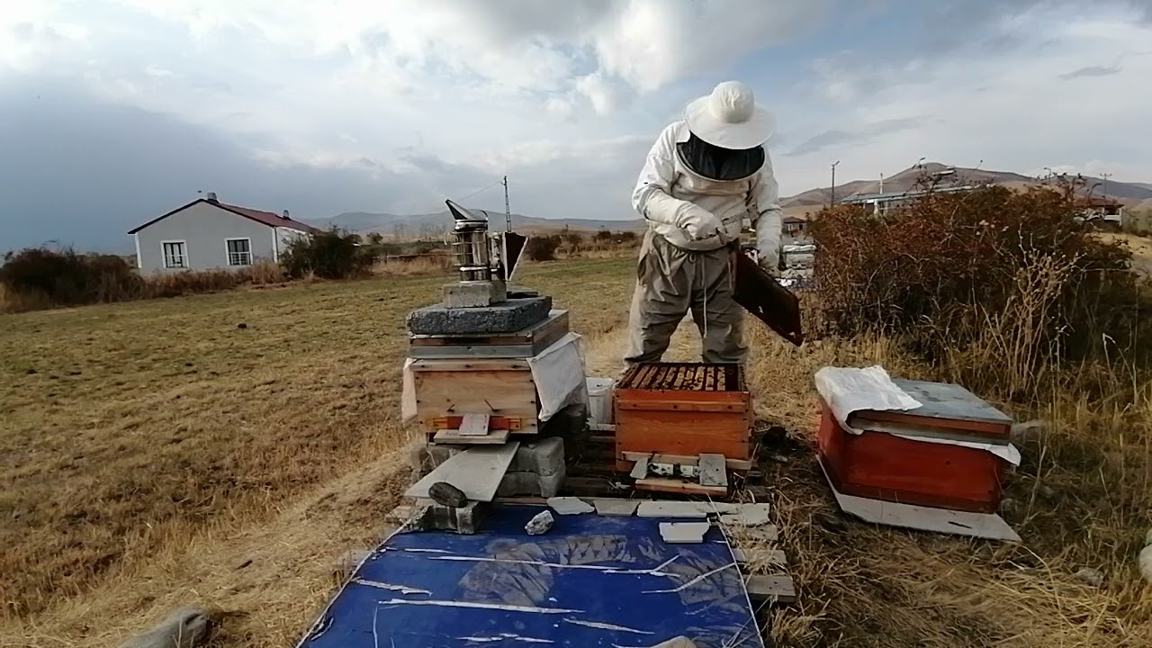 Çift kat kışlatma denemesi (Ekim) Erzurum... تشتية الخلية مع العاسلة في البرد القارس