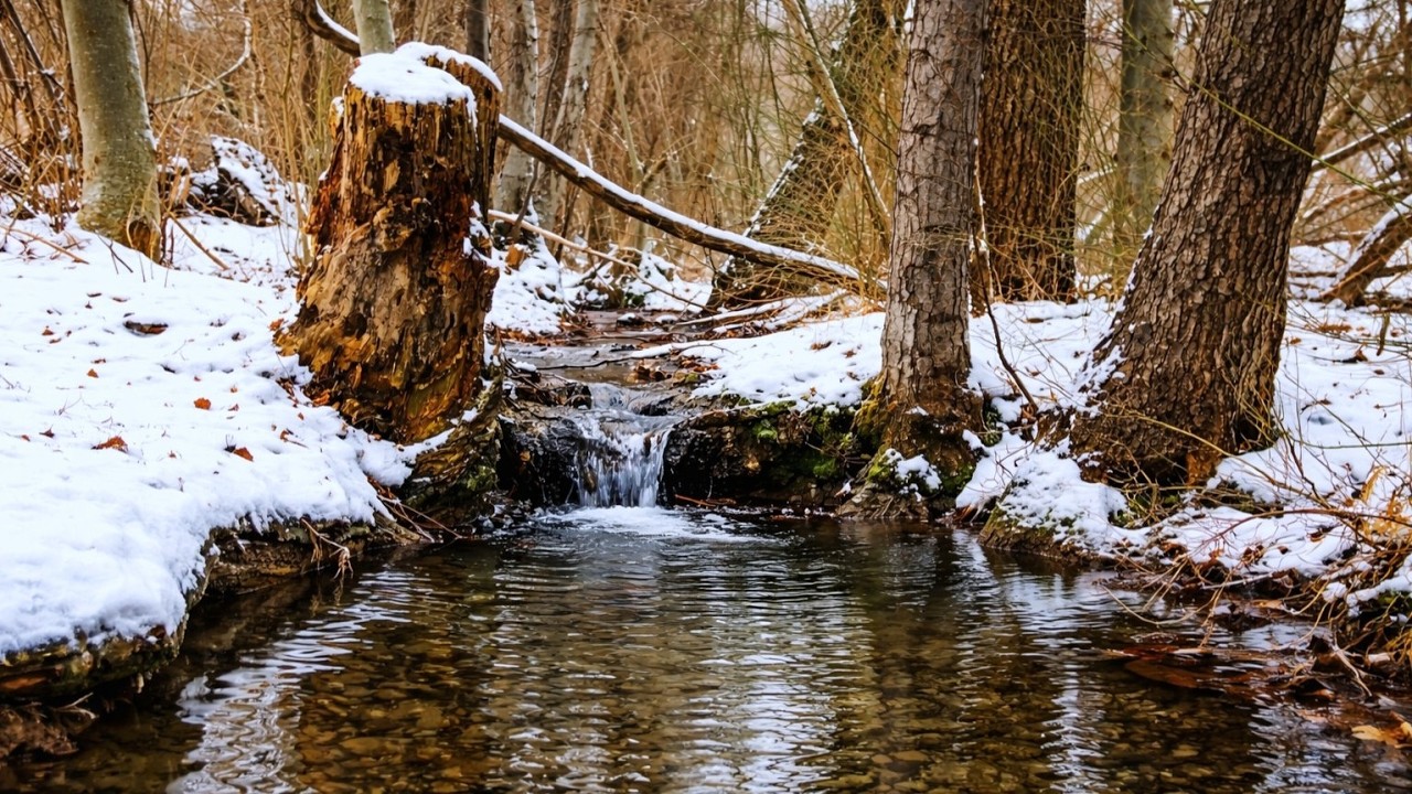 Winter Forest Stream in Snow Natural Relaxing