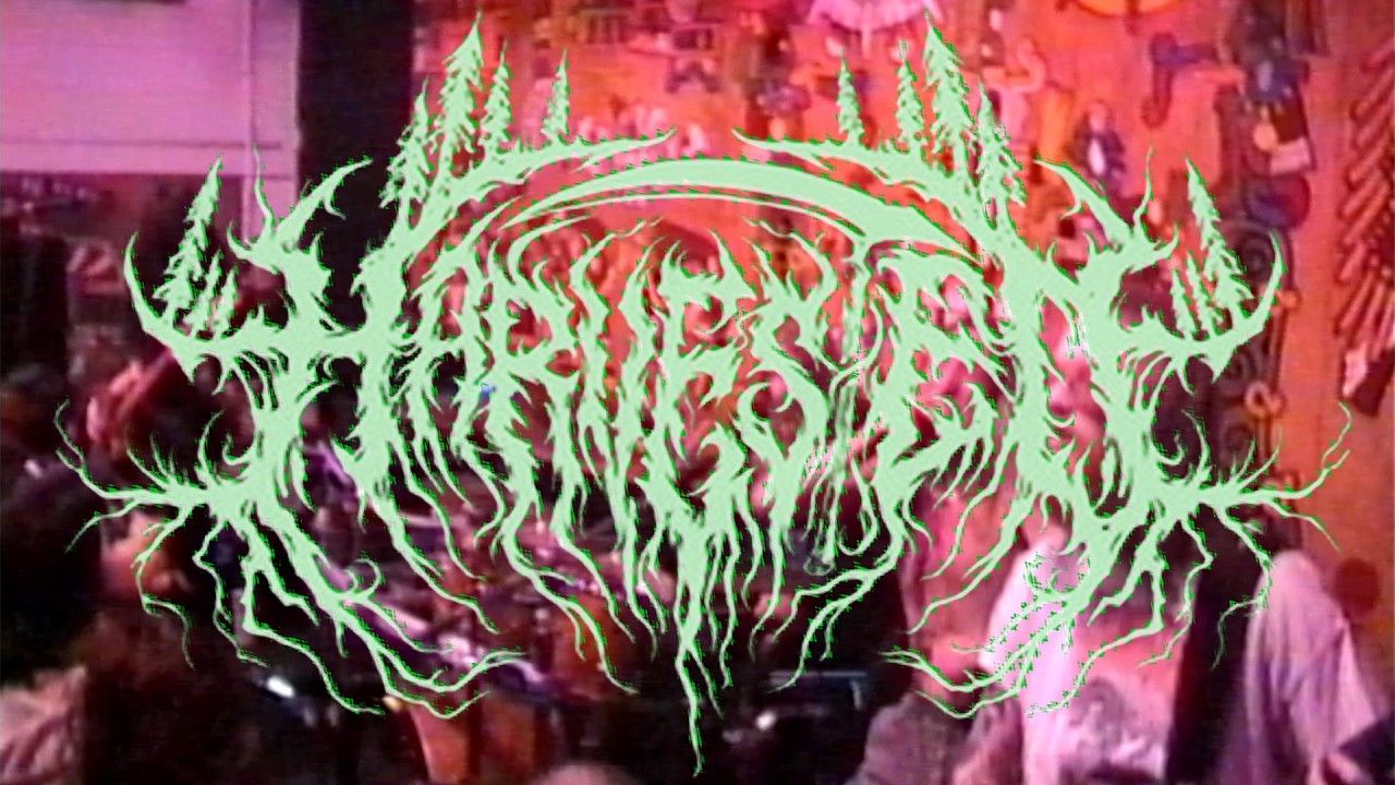 Harvested live at D3 Arts February 21st 2026