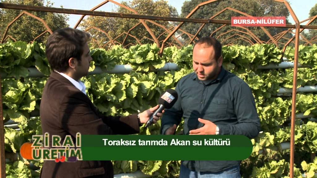 Zirai Üretim Topraksız Tarım Marul Yetiştiriciliği 1. Kısım