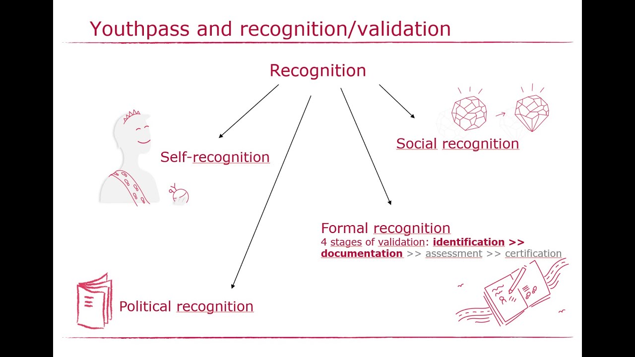 Presentation: Study on the Validation of Competences Developed in Youth Work and Volunteering