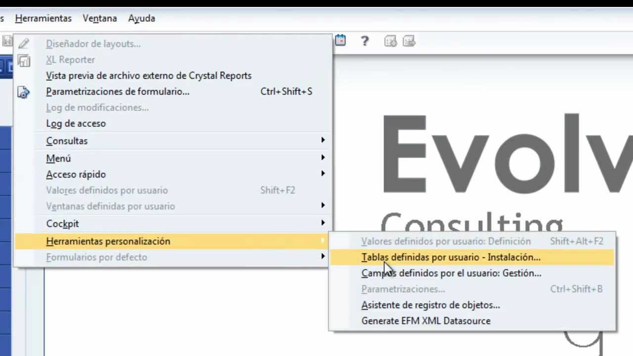 Generando campos de usuario en SAP Business One