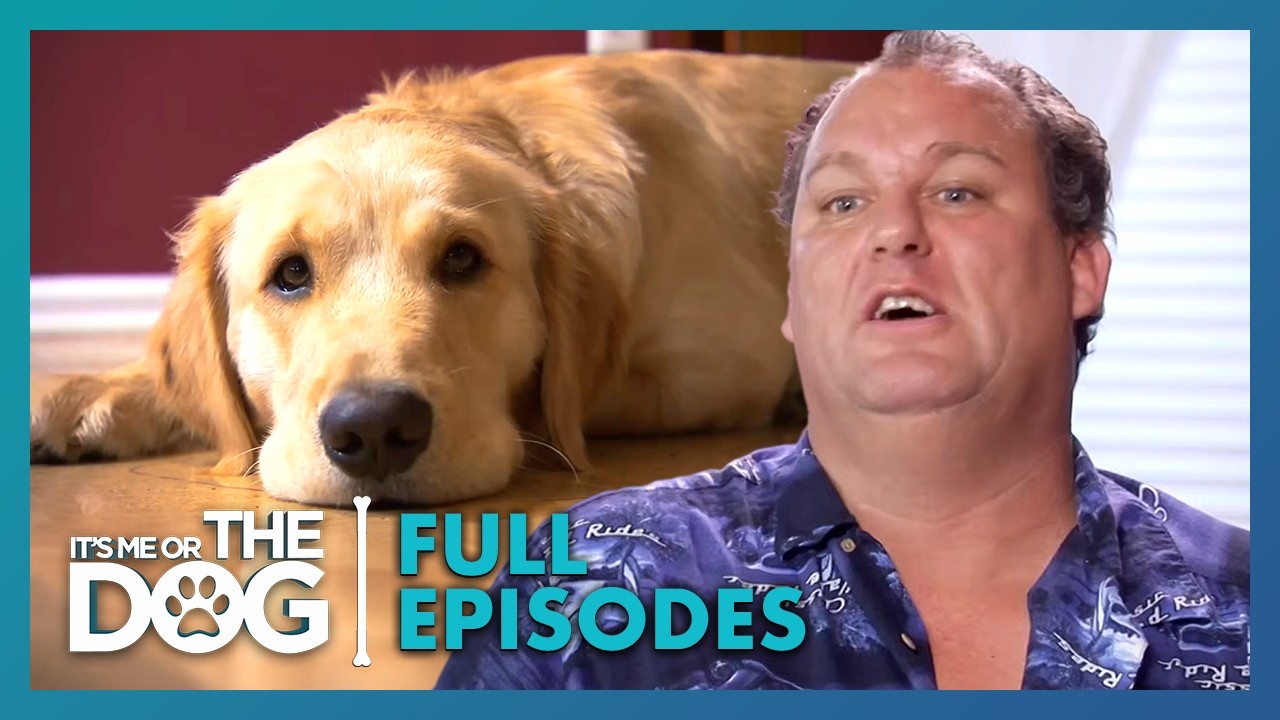 Can This Troubled Pup Become a Search & Rescue Dog? | Season 4 Episode 6 | It's Me Or The Dog US
