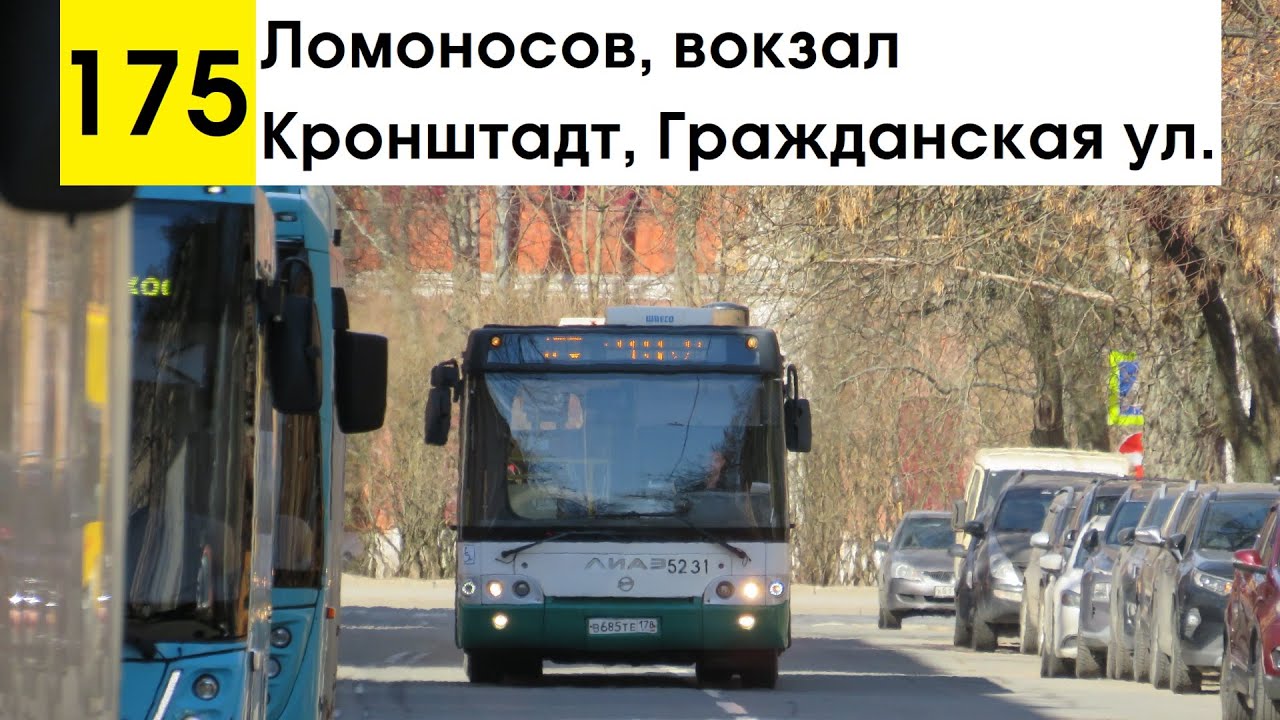 Автобус 175 