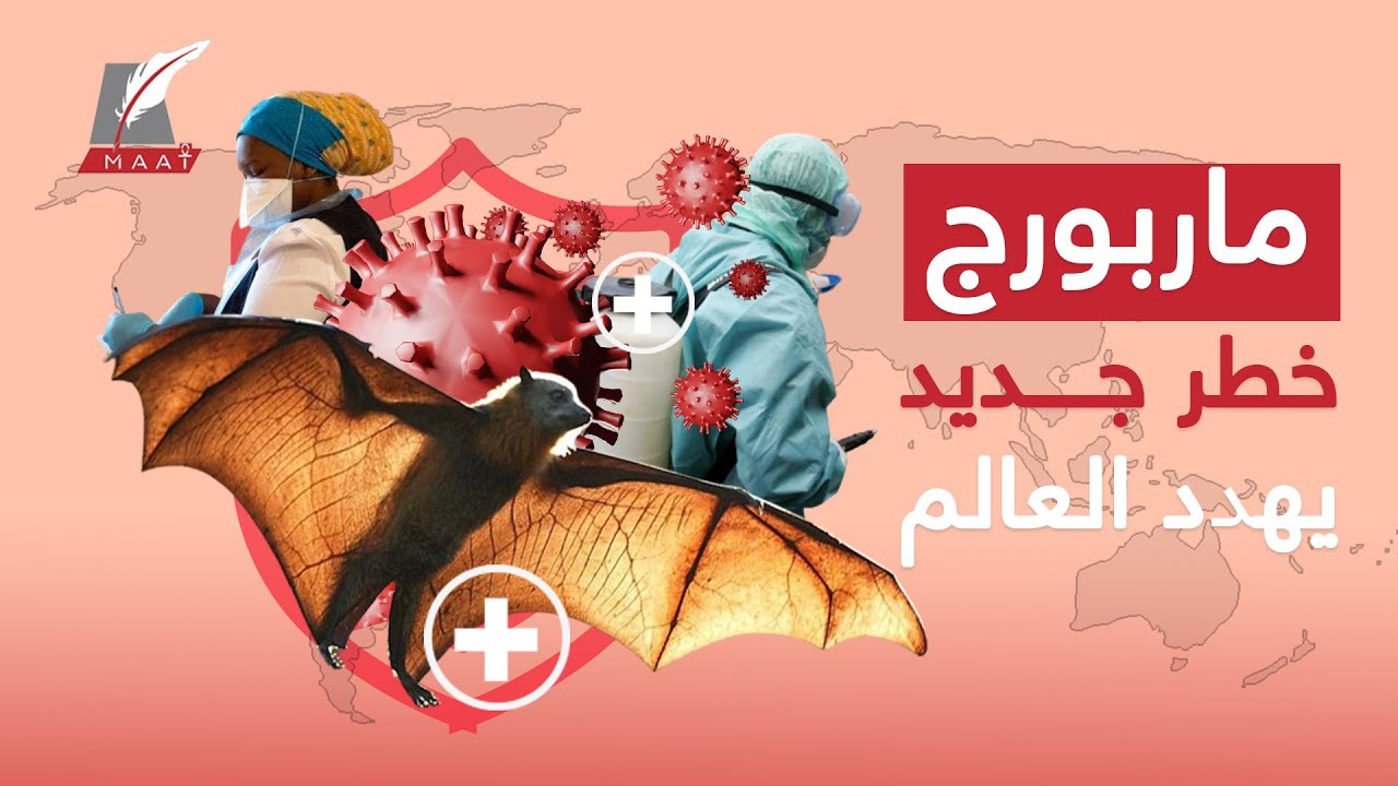 بعد 3 أعوام من خطر كورونا.. هل ينتظر البشر جائحة جديدة؟