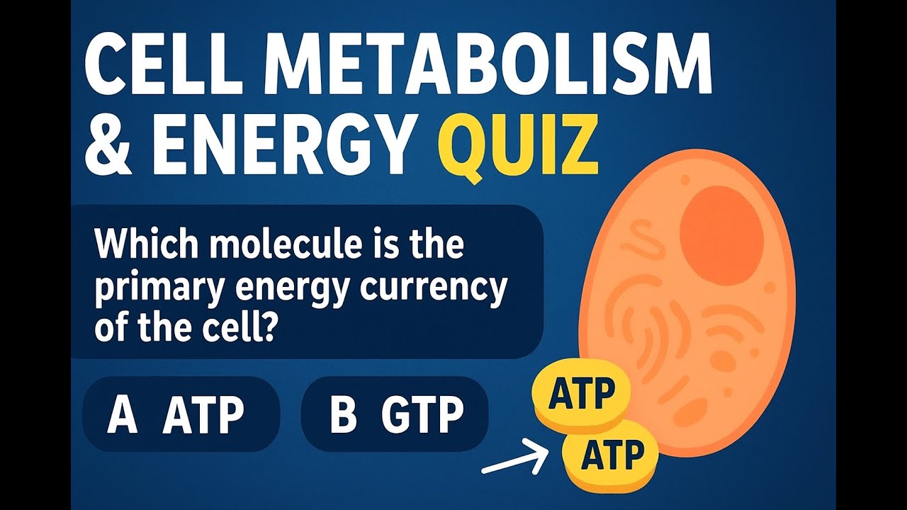 Cell Metabolism & Energy Quiz | Test Your Bio Knowledge in 5 Minutes!