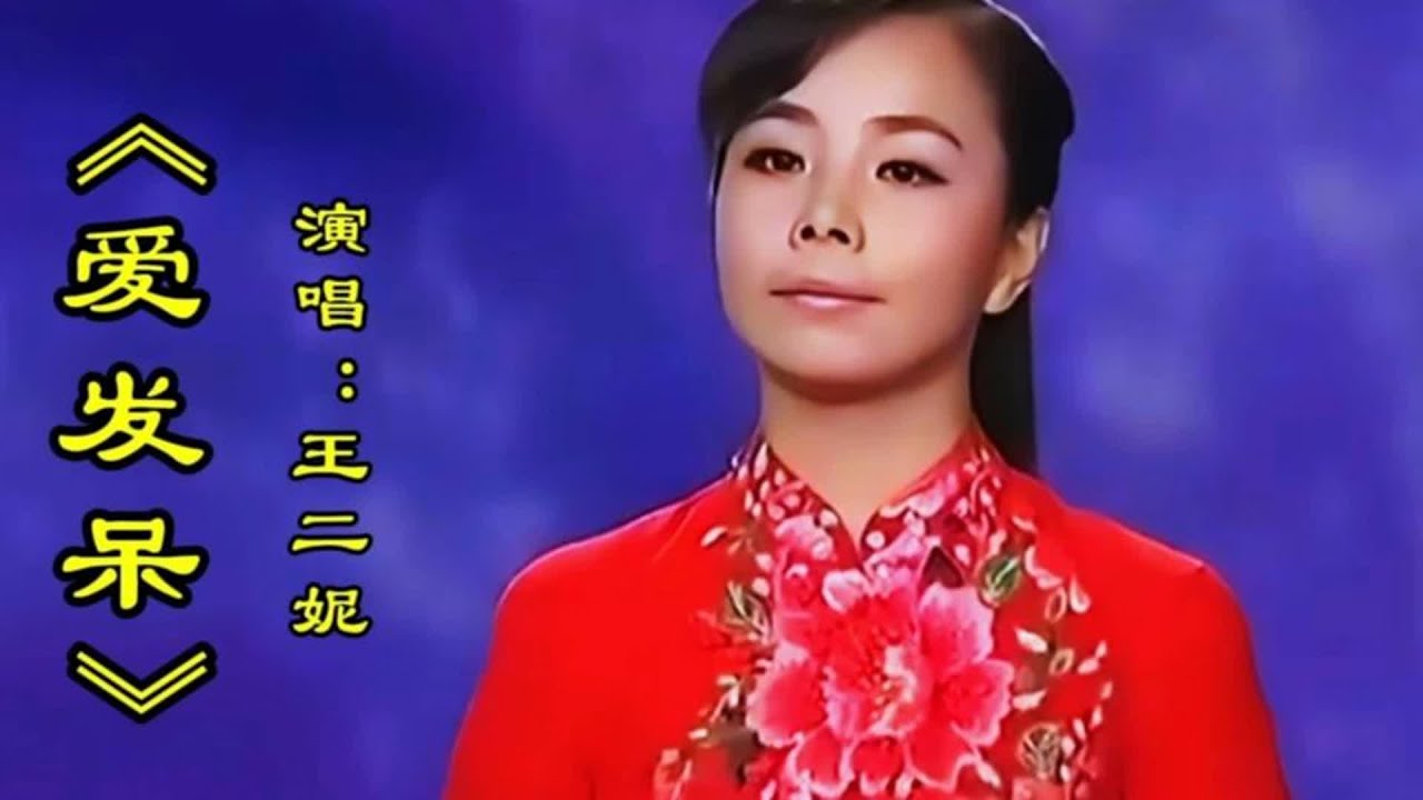 王二妮演唱《爱发呆》甜美清脆悦耳的歌声令人陶醉百听不厌