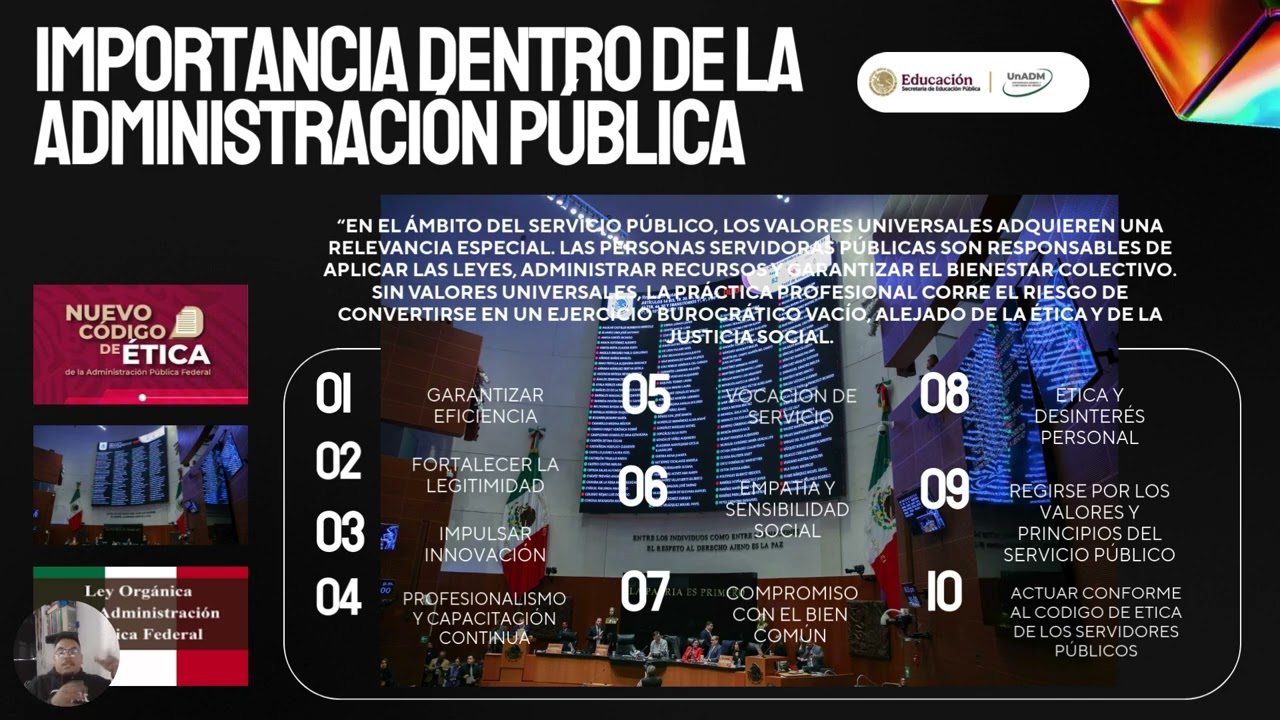 El Perfil Idóneo de Profesionistas para El Servicio Público 