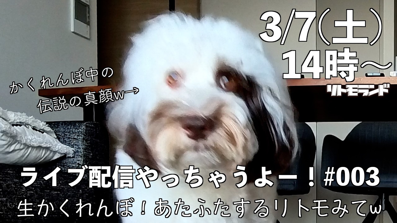 ライブ配信＃003 THE・かくれんぼ！リトモはACOYAを見つけられるのか？！