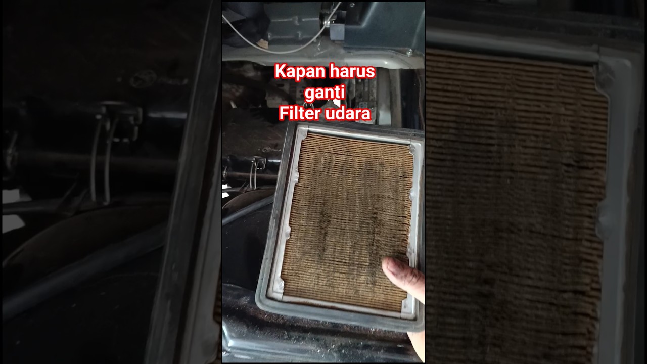 Kapan filter udara mobil harus diganti 