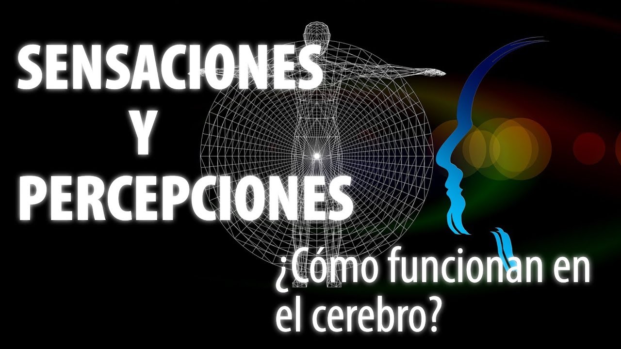 La materia prima del pensamiento - Sensacion/Percepción