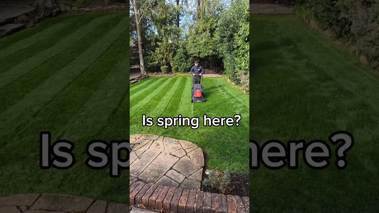 Kress commercial lawn mower stripes. #lawncare #garden #mowing ng