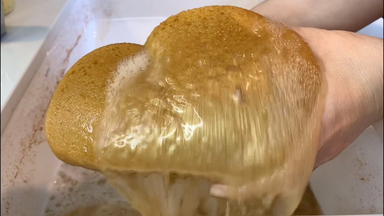 ✨🍯🌲  LIQUID GOLD SQUEEZES  🌲🍯✨ pt.1  - sponge ASMR