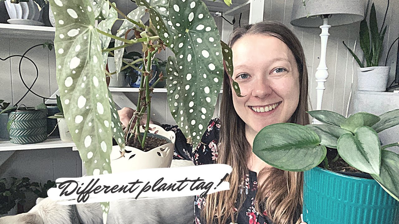 PLANT TAG 2022   Life With Lou