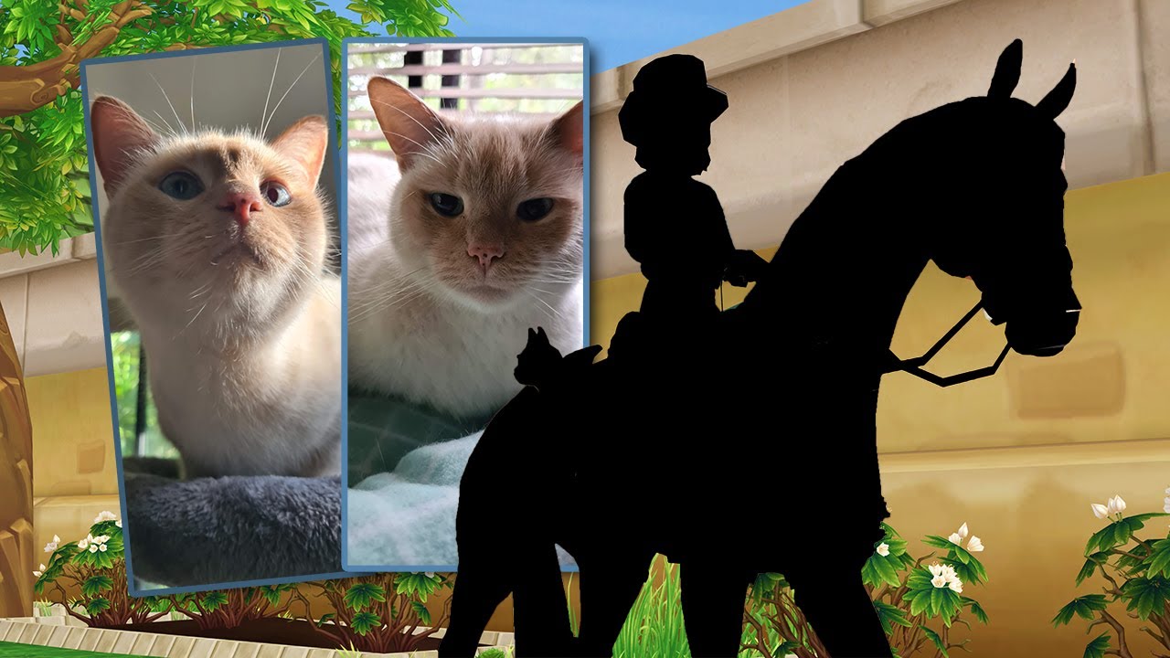 Star Stable My CAT CHOOSES THE HORSE I BUY