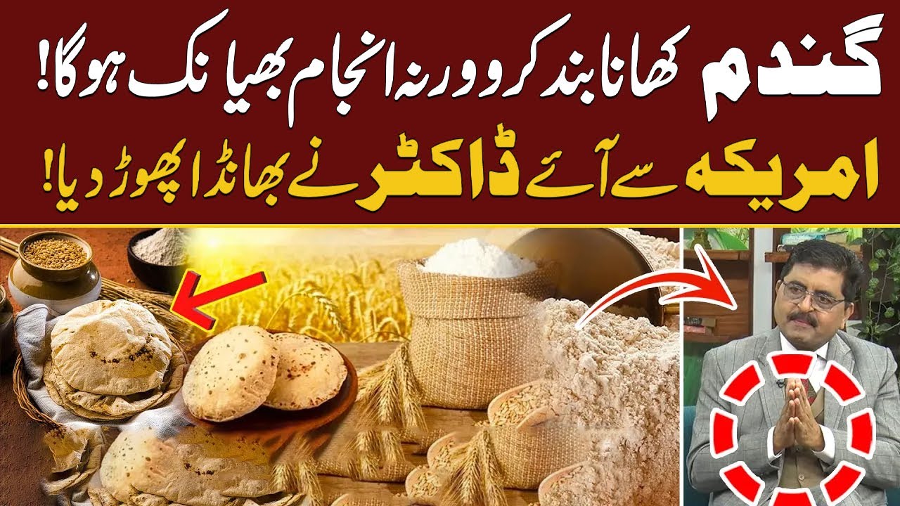 Gandum Ka Aata Wheat Flour A Silent Killer | Health Experts Warn | Shocking Truth Revealed | City 41