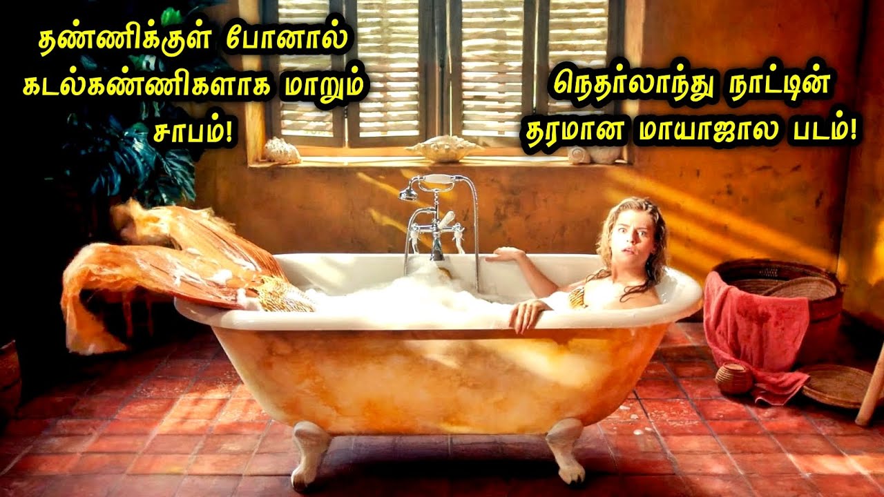 நெதர்லாந்து நாட்டின் தரமான மாயாஜால 