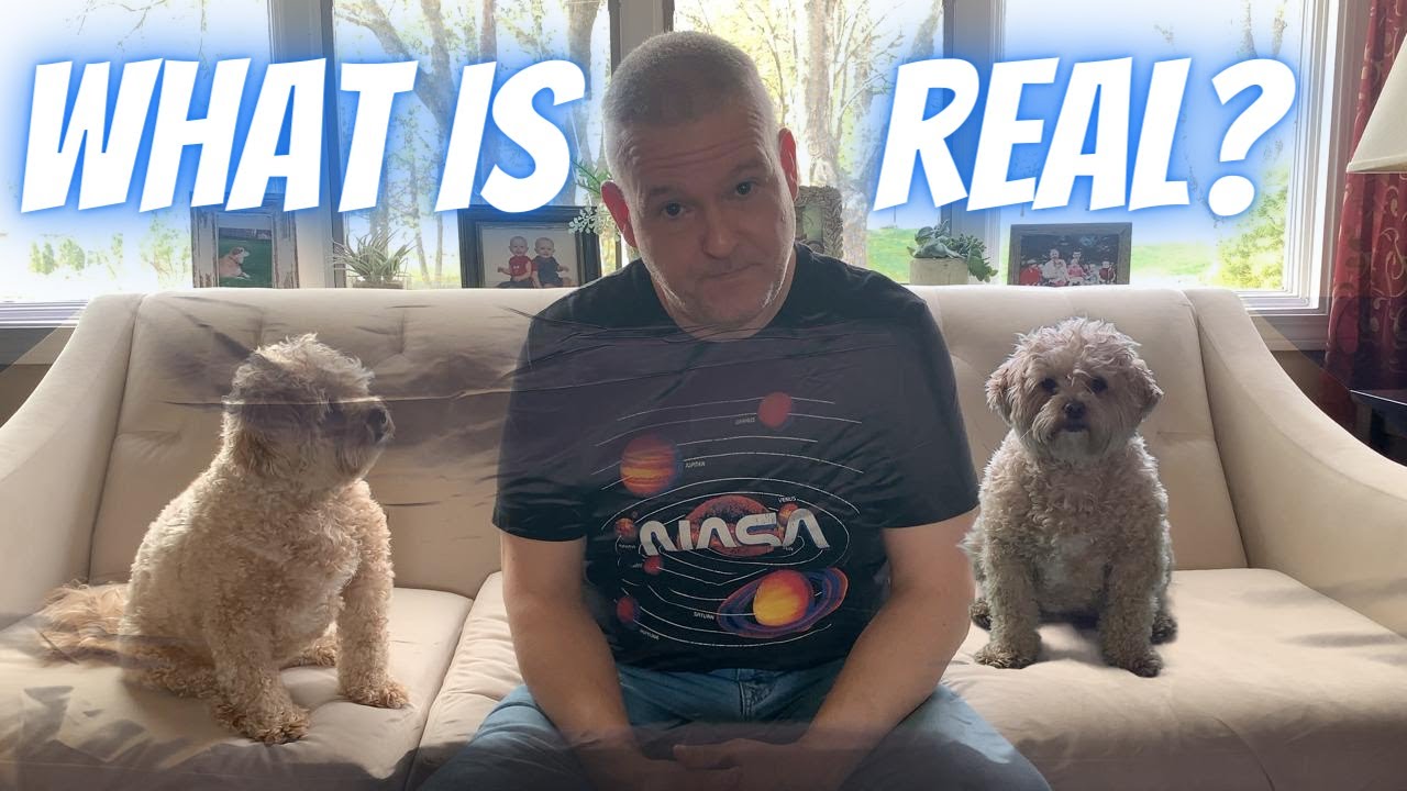 Multiple Maltipoos & the Weird World of Quantum Mechanics - What Is Real? (Adam Becker) Book Review