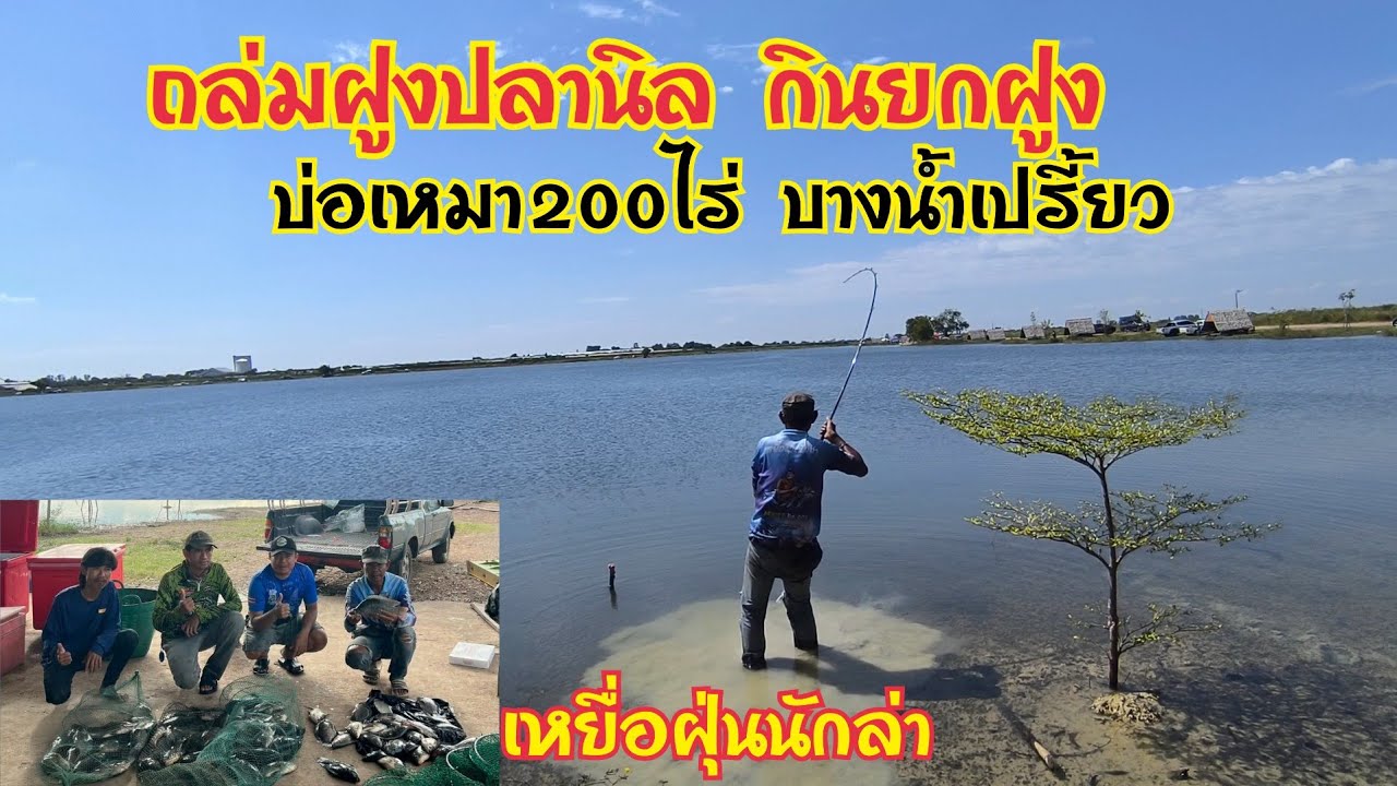 ถล่มฝูงปลานิล เข้ายกฝูง🐟🐟 บ่อเหมา 200 ไร่บางน้ำเปรี้ยว ฉะเชิงเทรา ตกปลาค้างคืน ด้วยเหยื่อฝุ่นนักล่า 