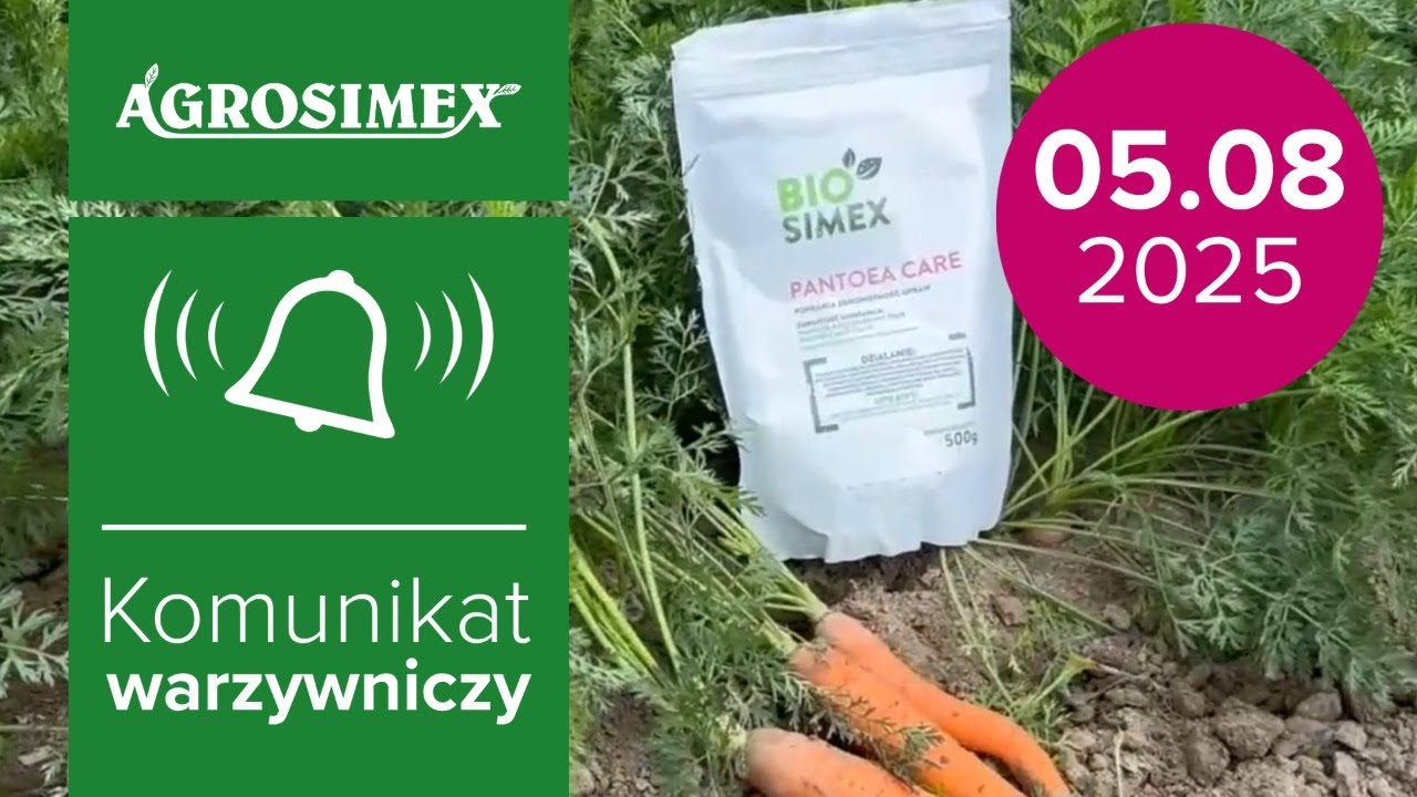 Biologiczne wsparcie ochrony warzyw korzeniowych przed zbiorami