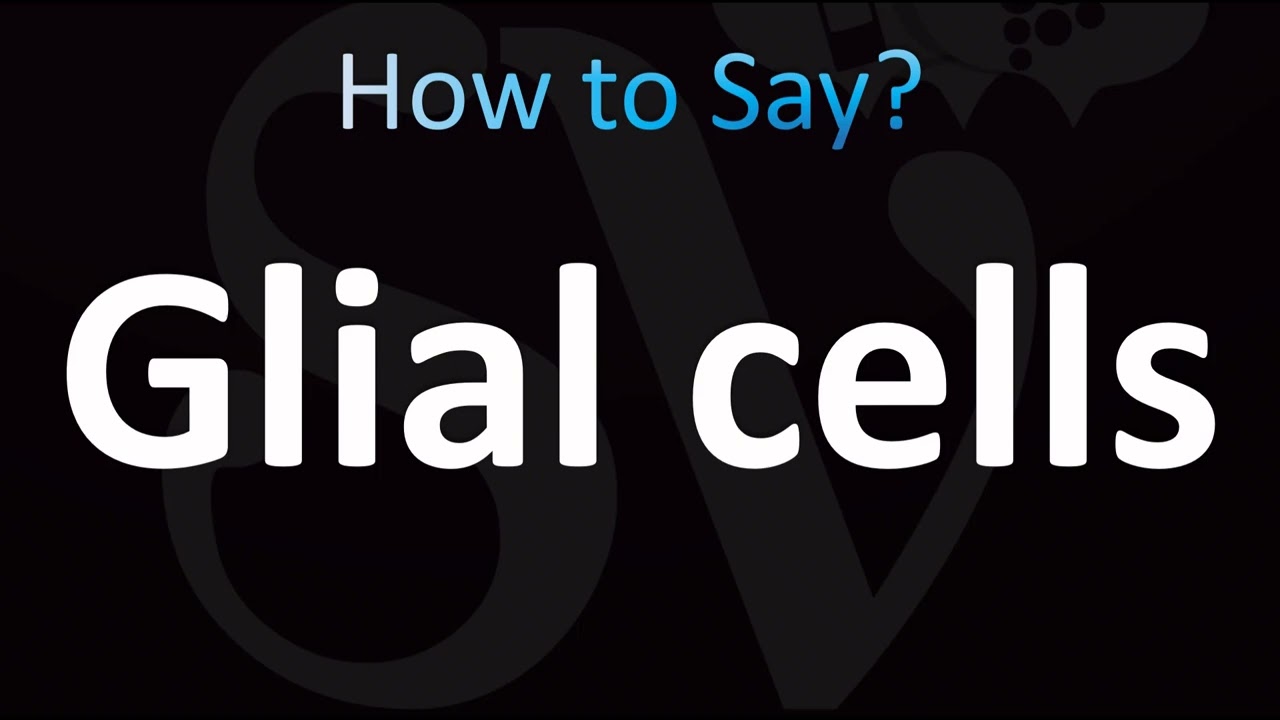How to Pronounce Glial cells (CORRECTLY!)