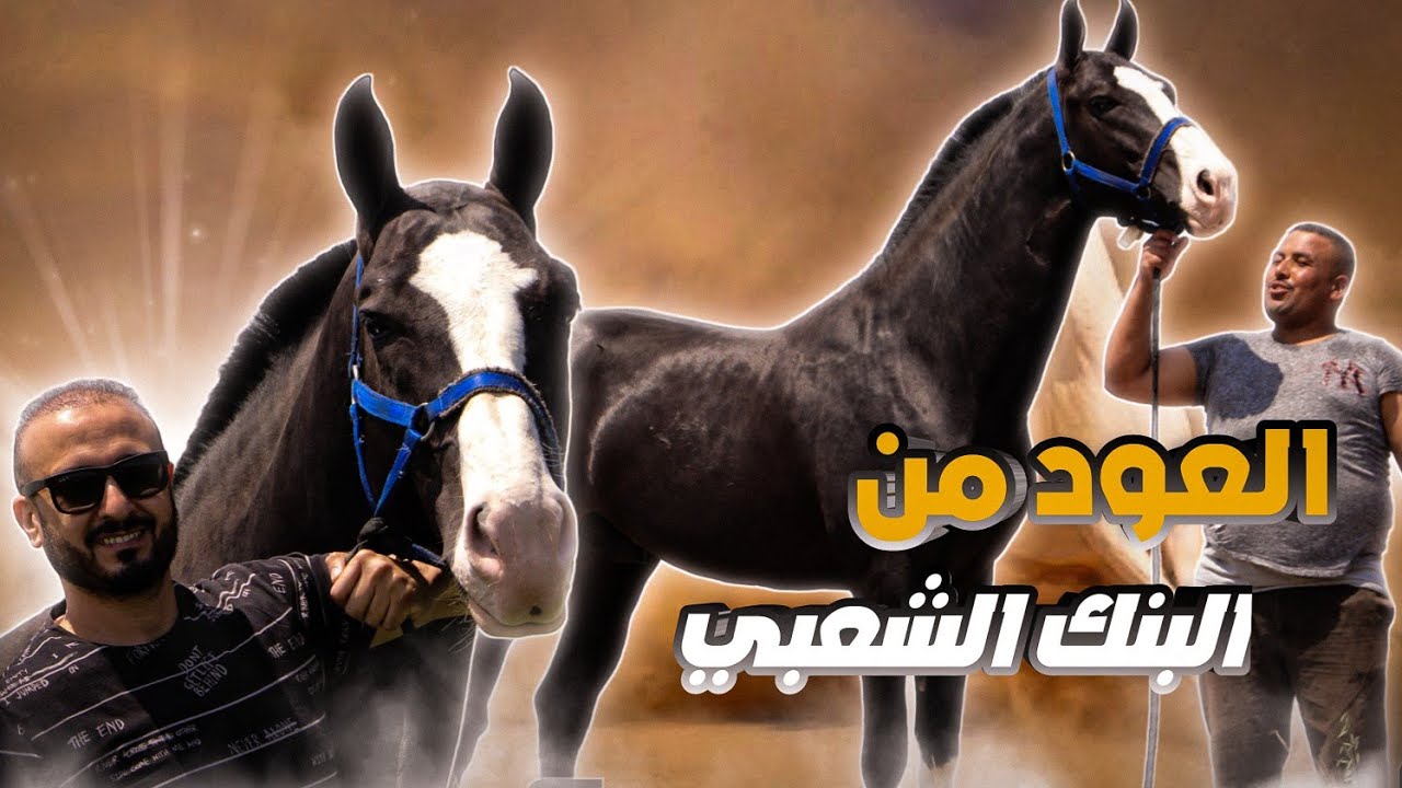 صدفة خير من ألف ميعاد مع إسماعيل البنك الشعبي