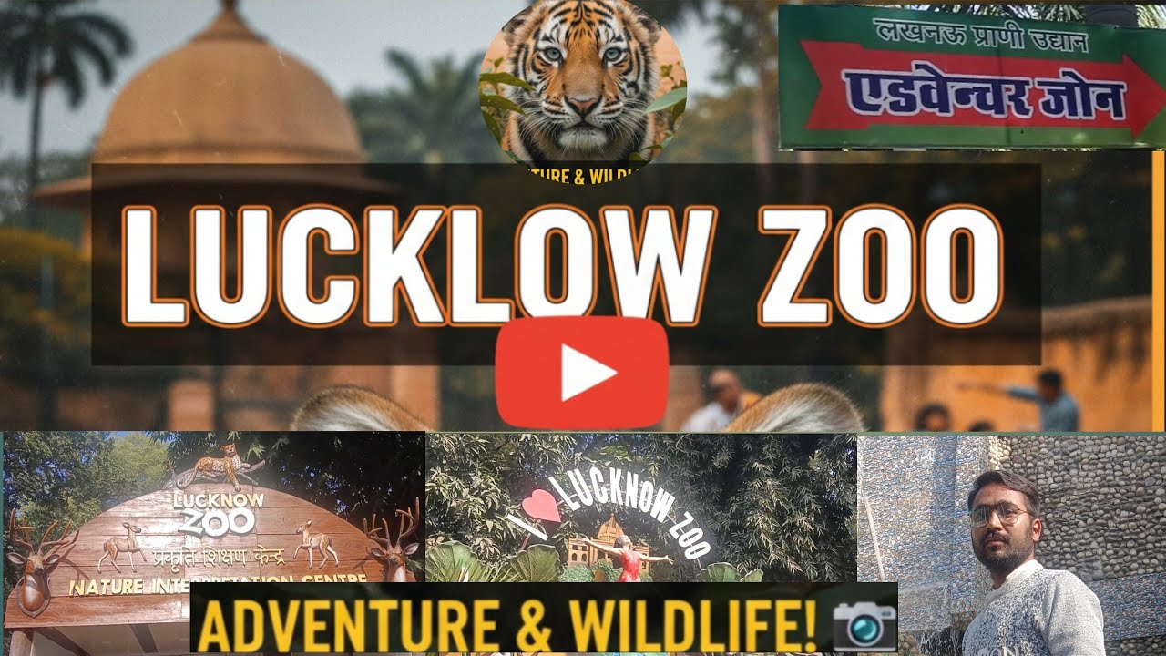 Lucknow Zoo 😍 Ohhh No !🫣 Ham Bhi Aa Gaye | Lucknow Zoo Park | Lucknow Zoo Museum | All Animals video