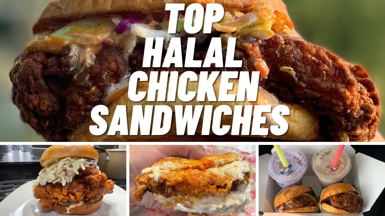Top Halal Chicken Sandwiches in Chicago! Halal Food Reviews!