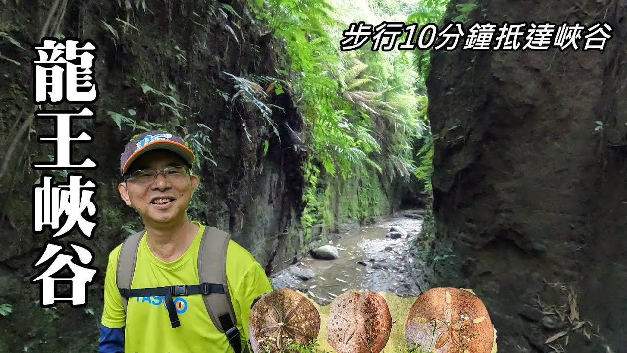 CP值超高的峽谷健行路線～龍王峽谷, 竟有來自海底的海膽化石 (苗栗縣西湖鄉)