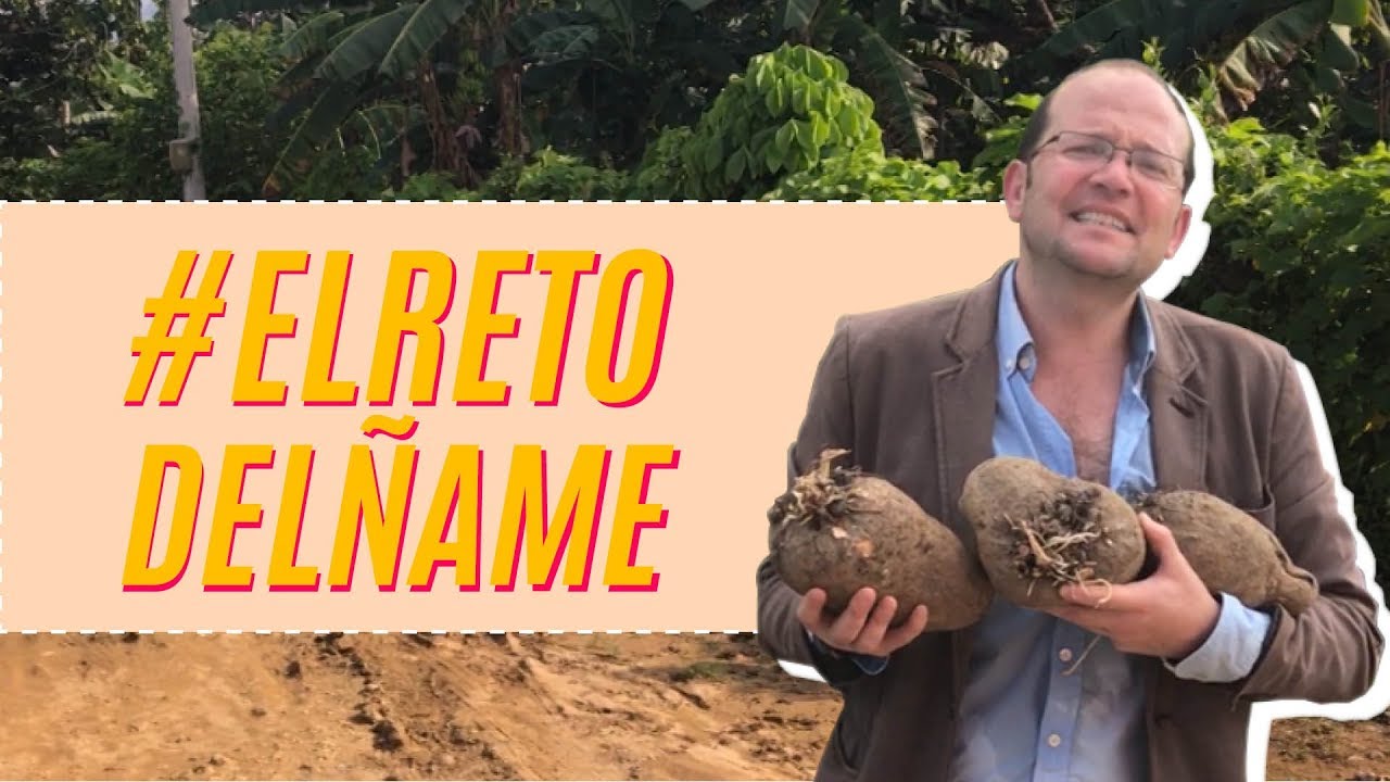 #ElRetoDelÑame / Una visita a los Youtubers campesinos