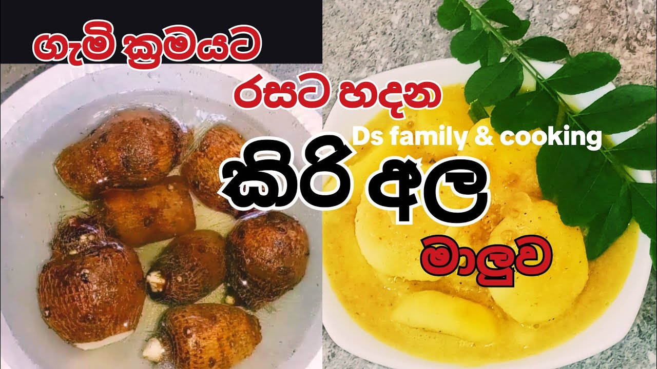 ගැමි ක්‍රමයට රසට හදන කිරි අල මාලුව | Village Kiri Ala Curry recipe | How to make Taro Root Curry