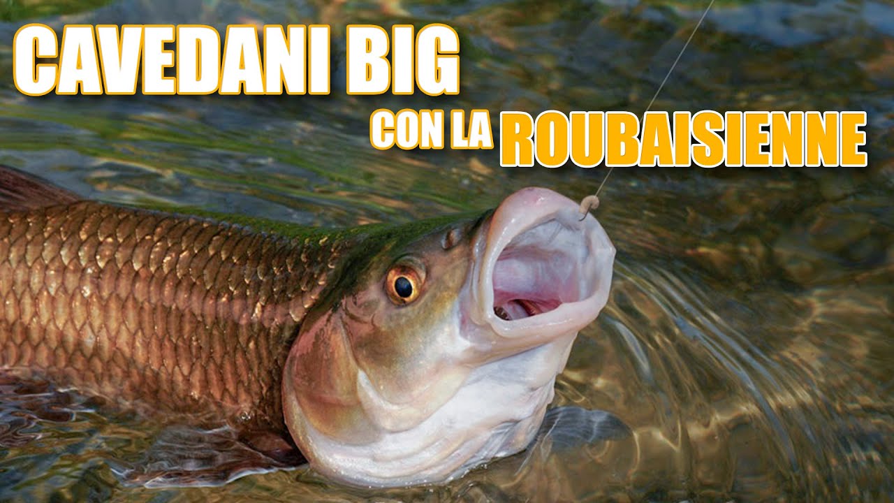 Pesca alla Passata con la Roubaisienne nel Fiume Elsa: Esperienze uniche e Strategie Vincenti!