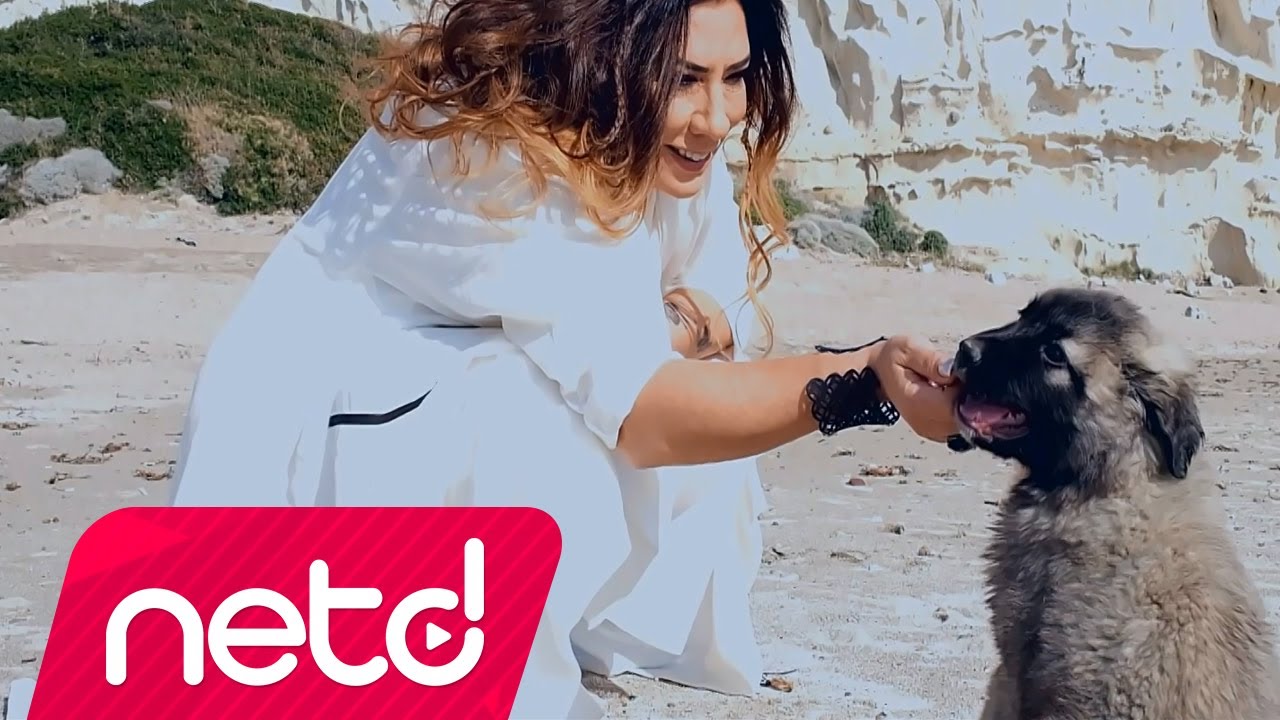 Işın Karaca - Serçe