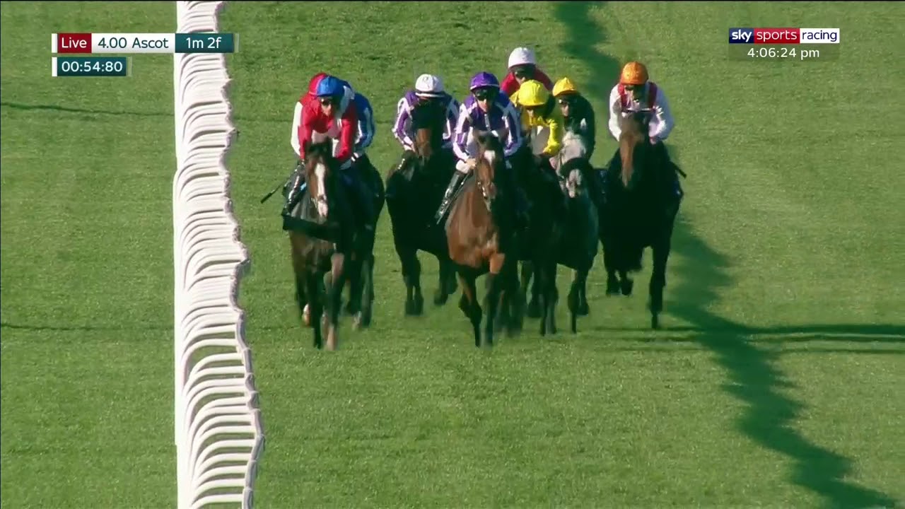 Magical - 2019 Champion Stakes