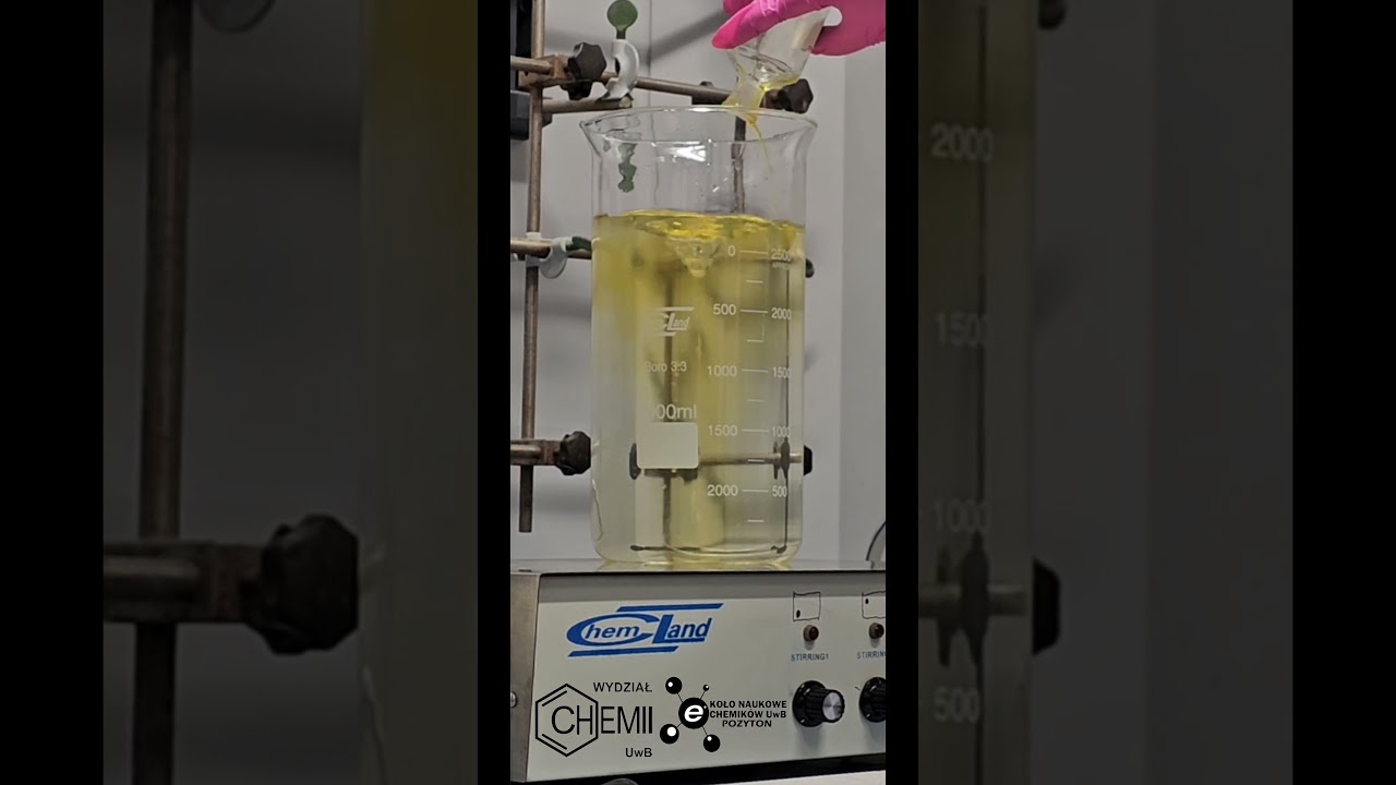 film konkursowy KNCh UwB 