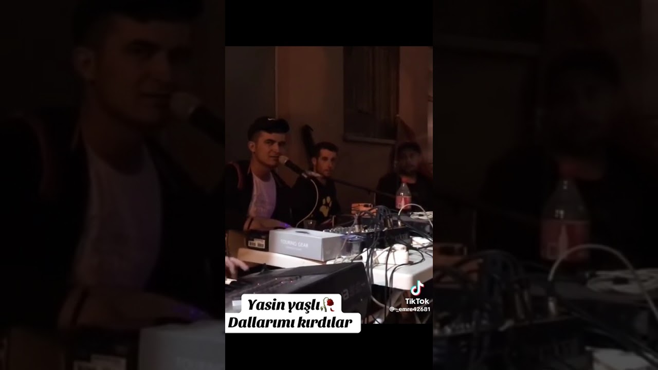 YASİN YAŞLI DALLARIMI KIRDILAR