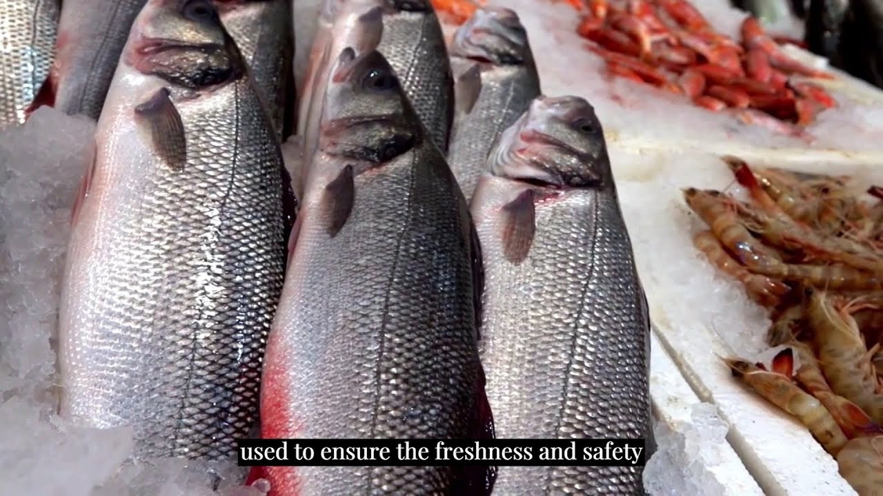 Use of Formalin to preserve fish - why its harmful to our health? | A VTF Documentary | Coimbatore