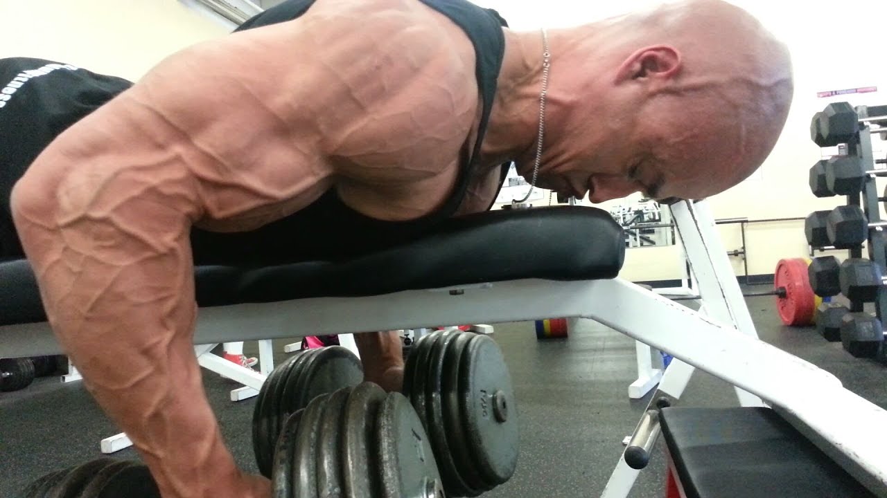 Seal Rows - My Favorite Things