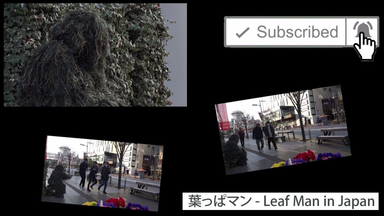 葉っぱマン【ドッキリ】 Leaf Man in Japan Pranks 15