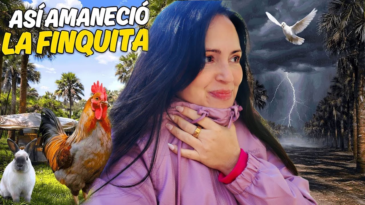 Después de la Tormenta Así Amaneció La Finquita Bonita 🏡 Sandra Cires Vlog