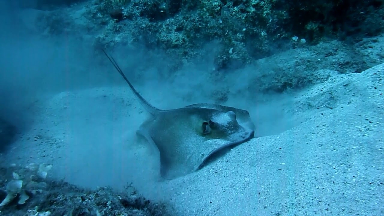 Greece Karpathos diving