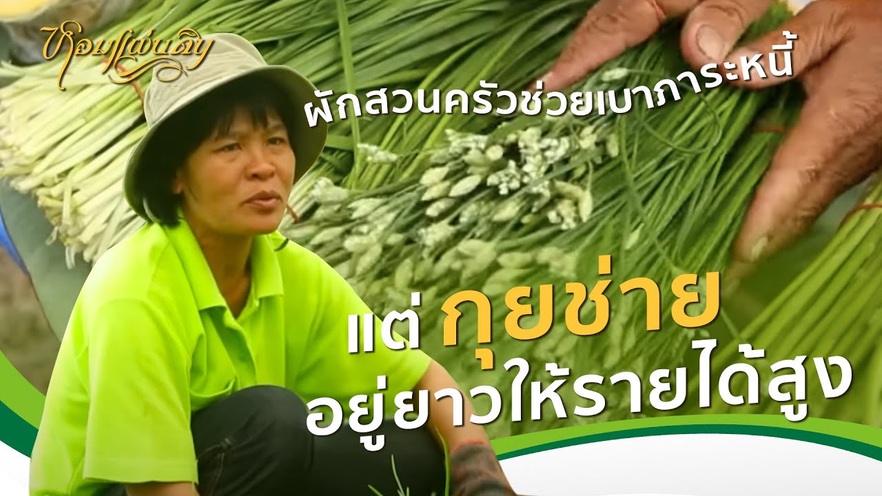 หอมแผ่นดิน ตอน เลือกทางฝัน | กุยช่ายช่วยชีวิต ปลูกผักช่วยแบ่งเบาภาระหนี้ แต่กุยช่ายอยู่ยาวทำรายได้ดี