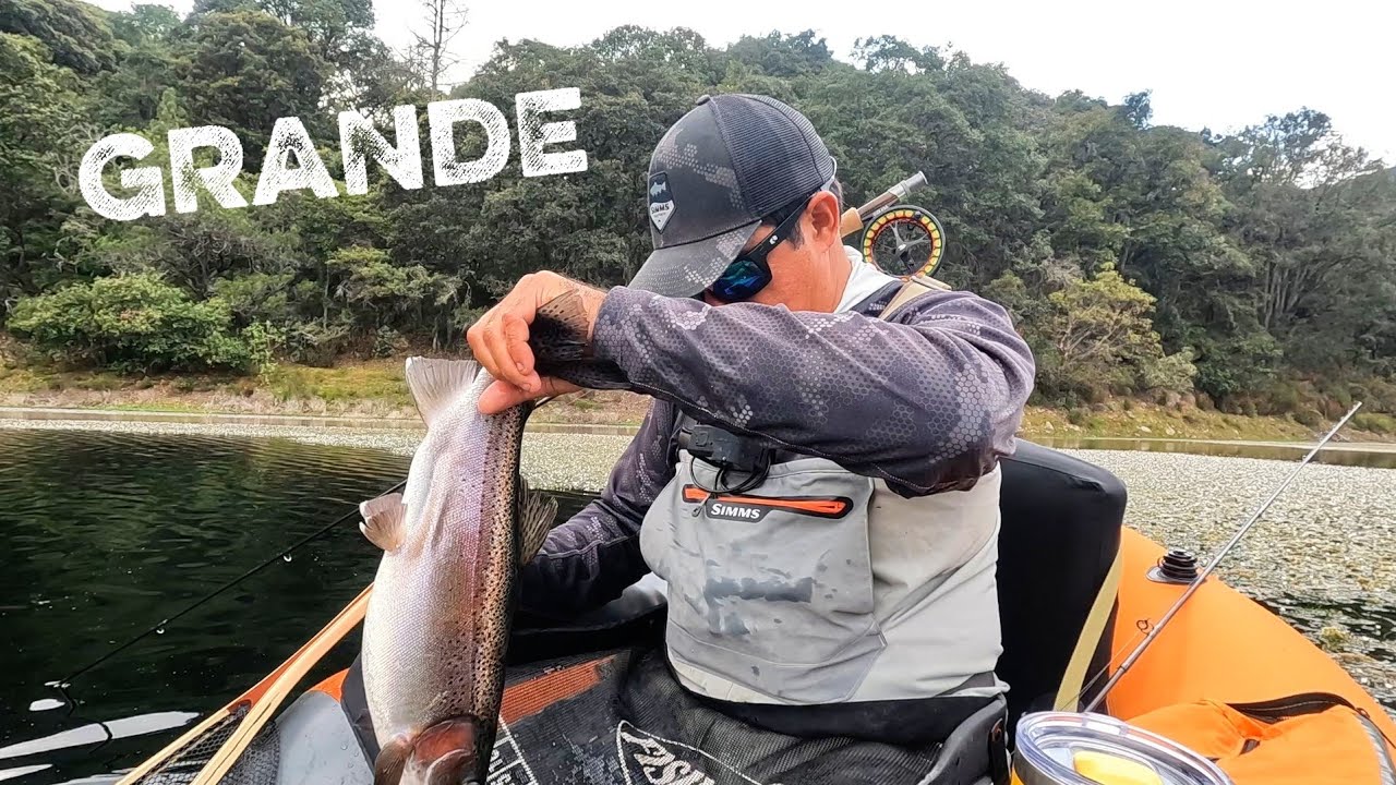 Una Gran Trucha en Agua Cristalina