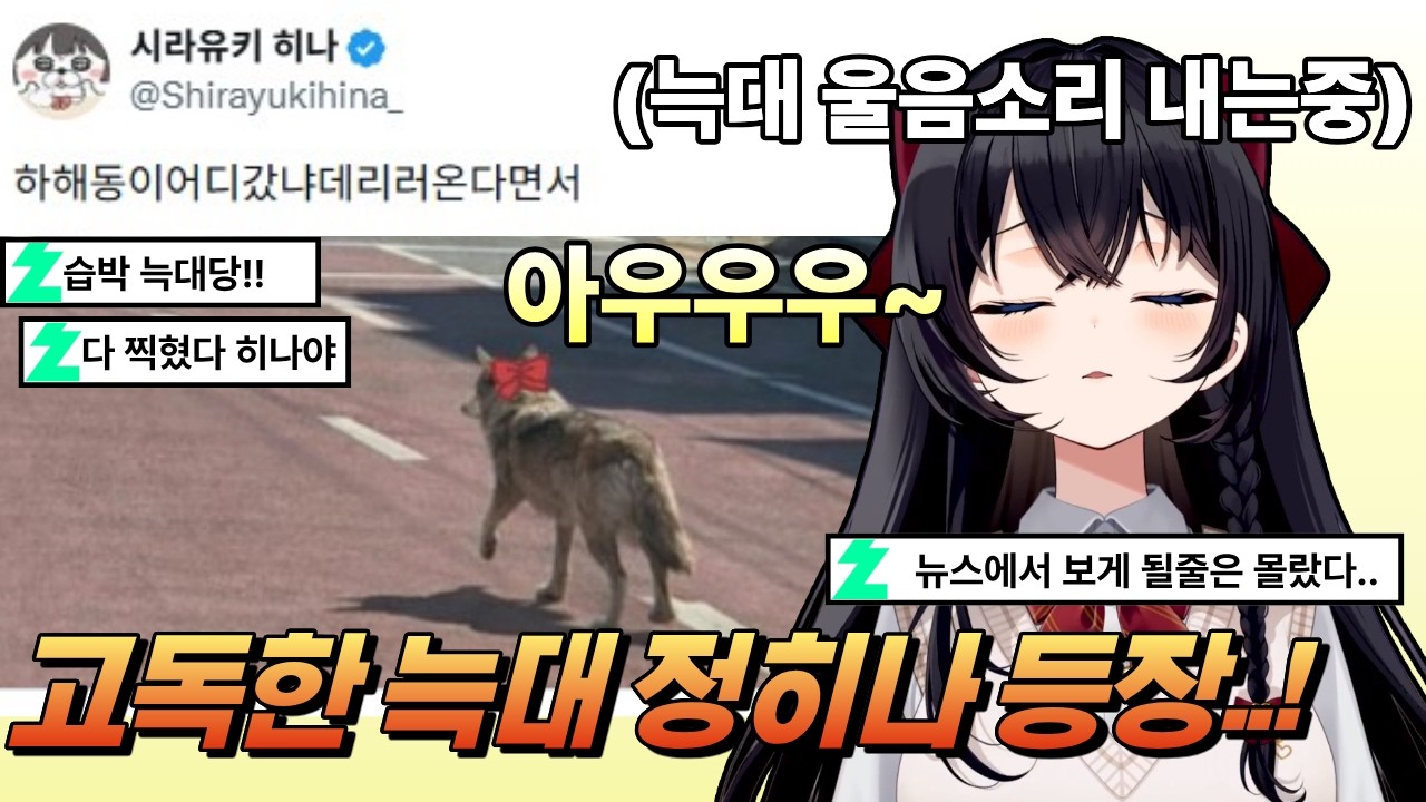 고독한 늑대 정히나