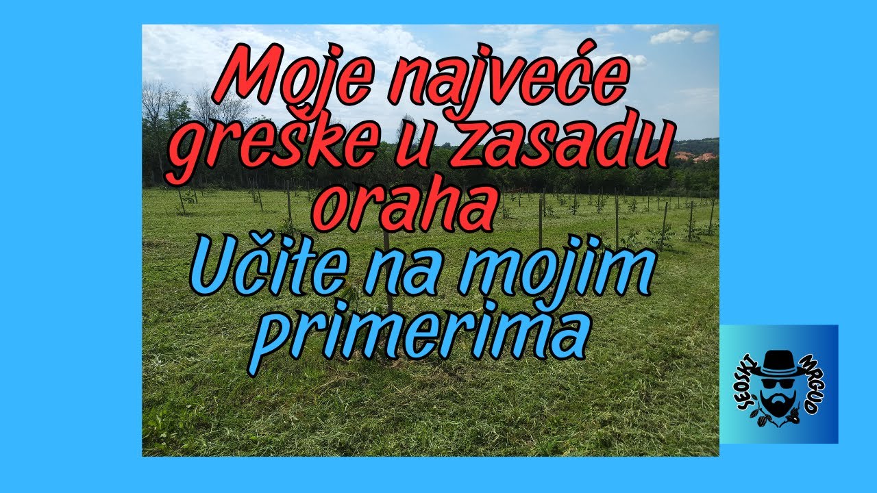 Moje najveće greške u zasadu oraha (Učite na mojim greškama) #seoskimrgud