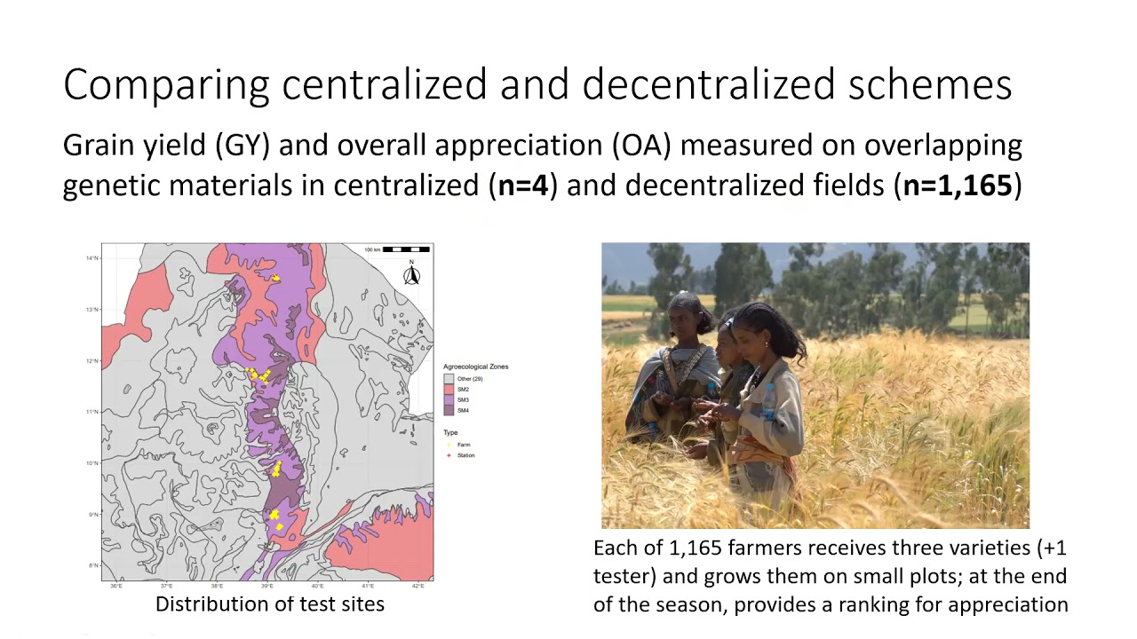 Matteo Dell'Acqua - Data driven decentralized wheat breeding, genetic gain, challenging environments